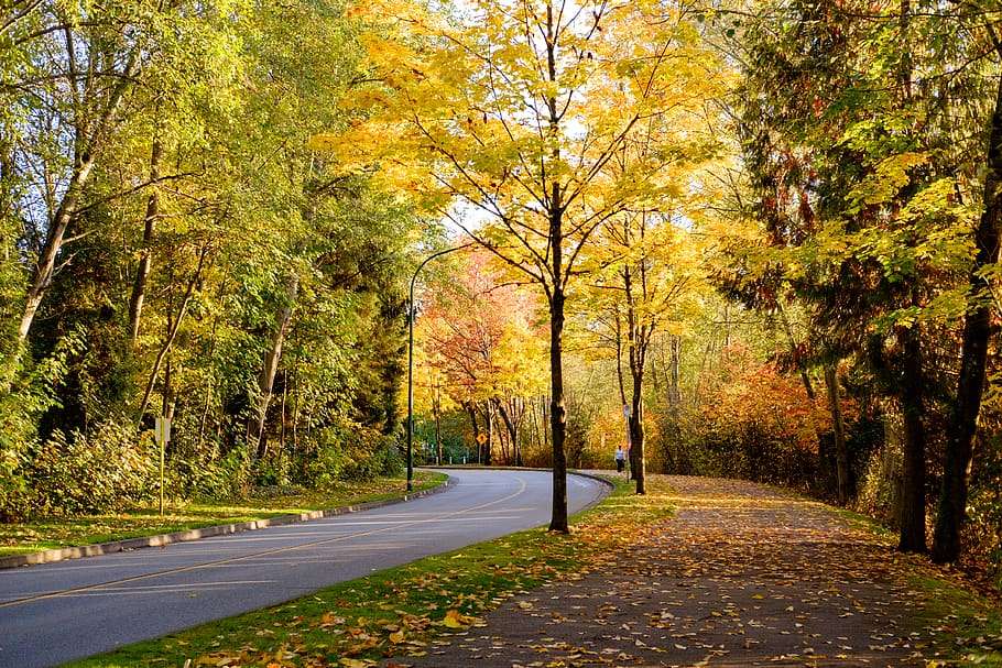 limousine-burnaby-vancouver-tours